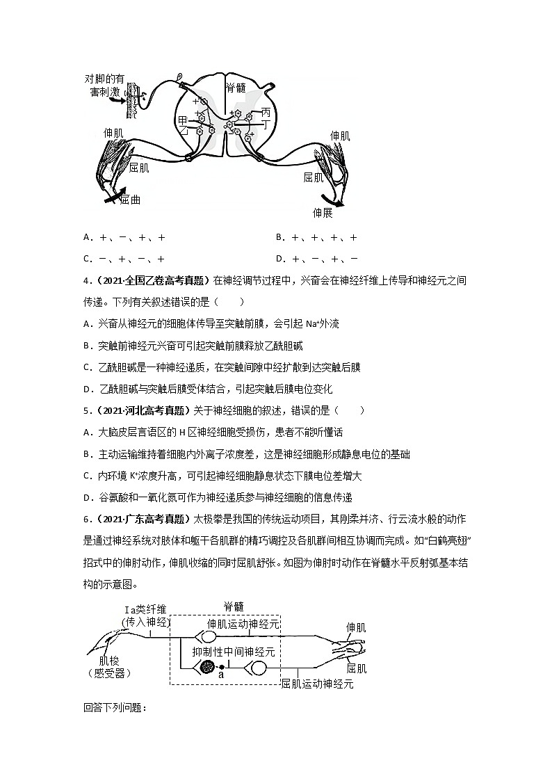 三年高考（2019-2021）生物试题分项汇编专题14神经调节学生版第2页