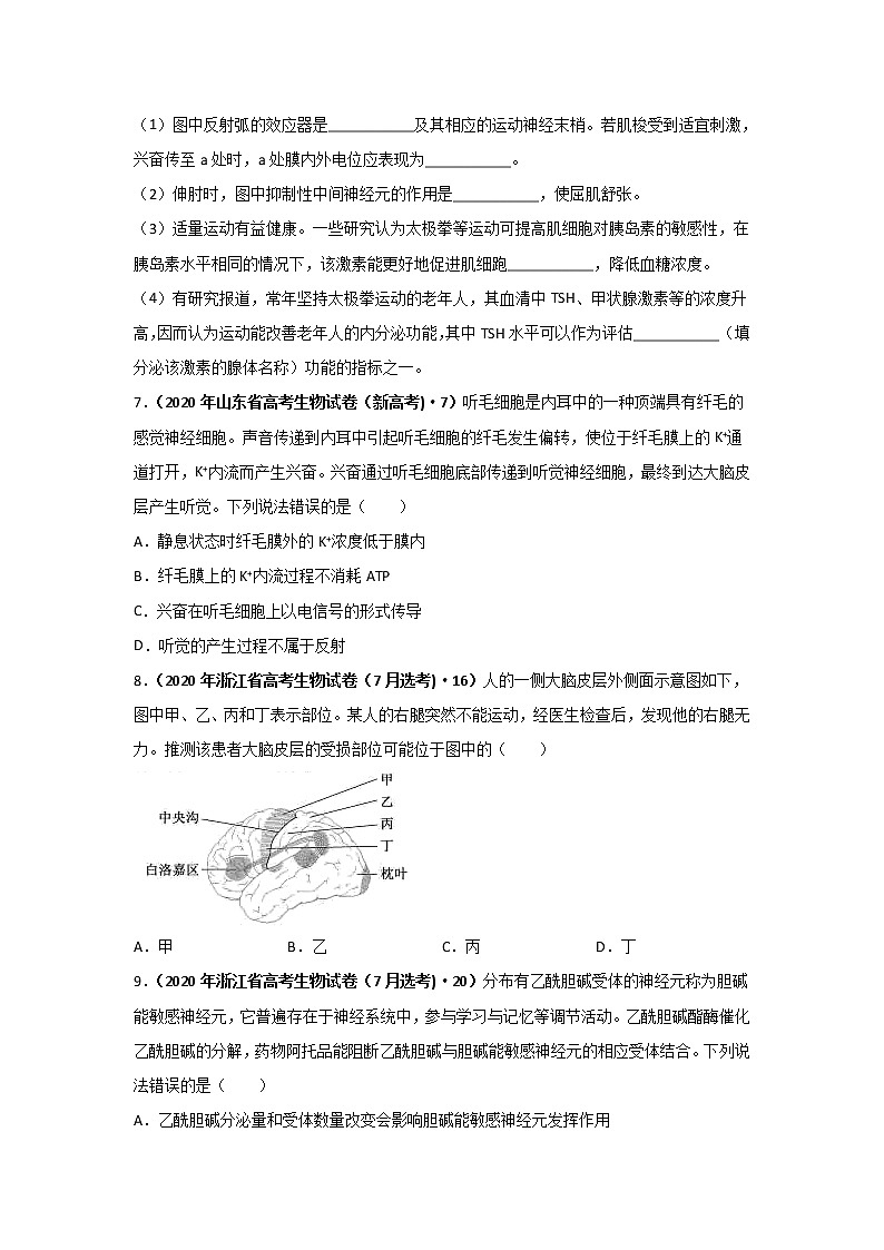 三年高考（2019-2021）生物试题分项汇编专题14神经调节学生版第3页