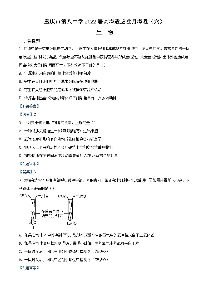 2022重庆市八中高三下学期高考适应性月考（六）生物试题含答案01