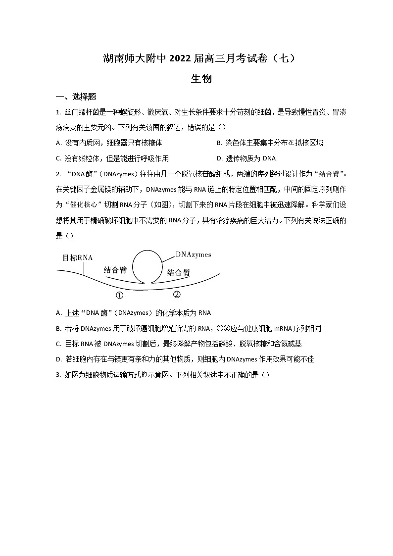 2022长沙湖南师大附中高三下学期第七次月考生物试题含答案第1页
