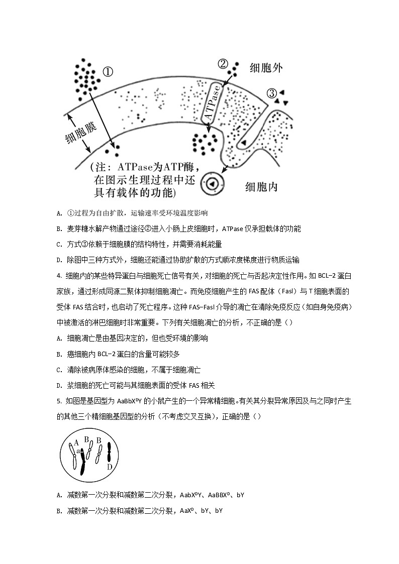 2022长沙湖南师大附中高三下学期第七次月考生物试题含答案第2页