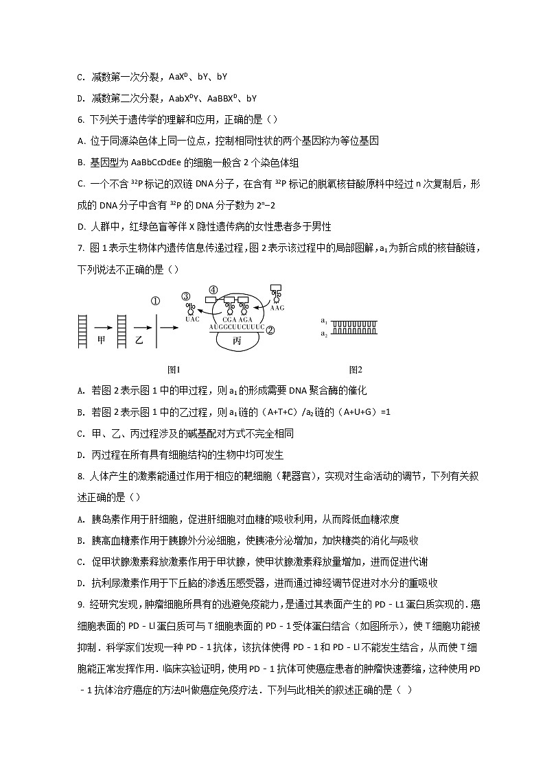 2022长沙湖南师大附中高三下学期第七次月考生物试题含答案第3页