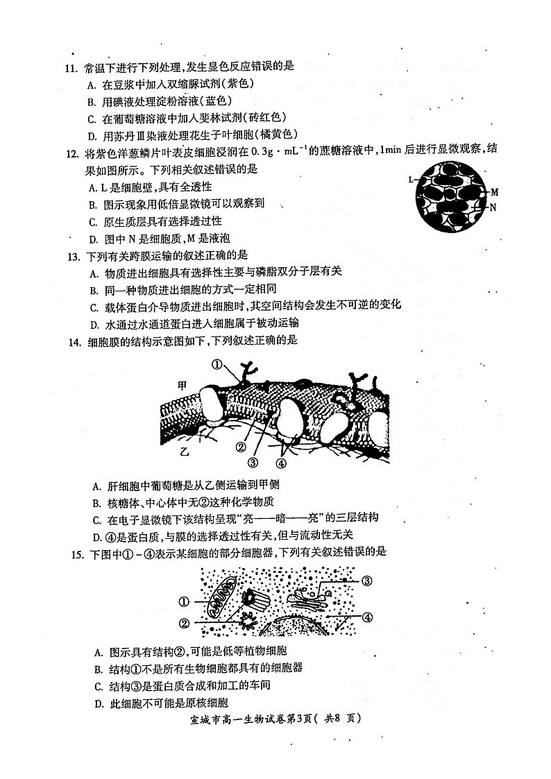 2022宣城度高一第一学期期末生物试卷含答案03