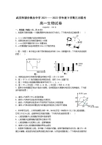 2022武汉部分重点中学高一下学期3月联考生物试题无答案