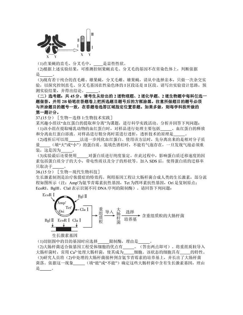 安徽省芜湖市2021届高三下学期5月教育教学质量监控（二模）生物试题含答案03