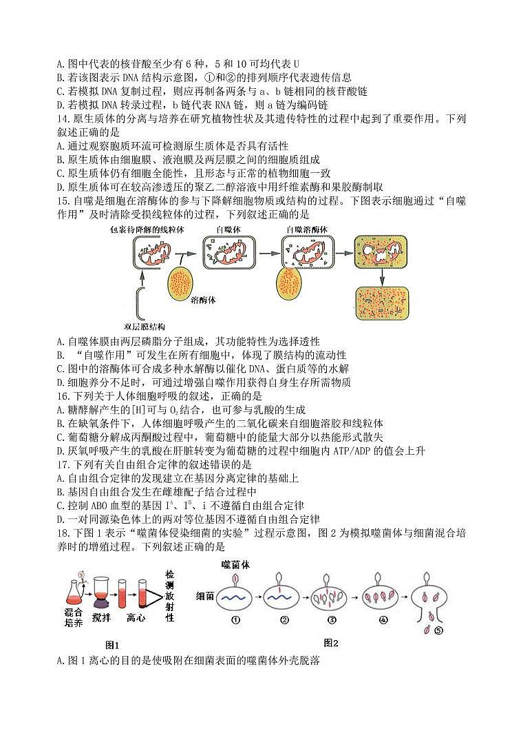 2022年4月浙江省衢州、丽水、湖州三地市高三教学质量检测试卷（二模）生物试题含答案03
