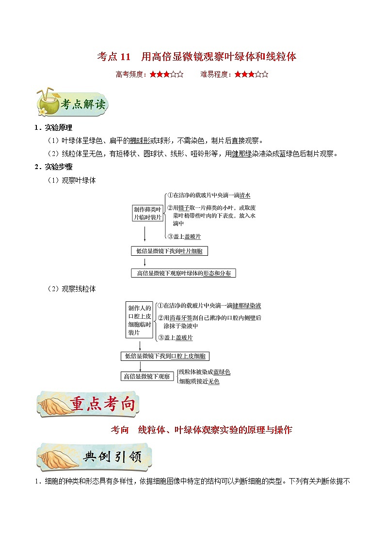 考点11  用高倍显微镜观察叶绿体和线粒体-备战2022年高考生物一轮复习考点一遍过学案第1页