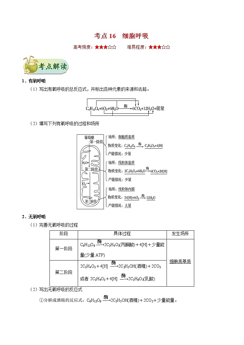 考点16  细胞呼吸-备战2022年高考生物一轮复习考点一遍过学案01