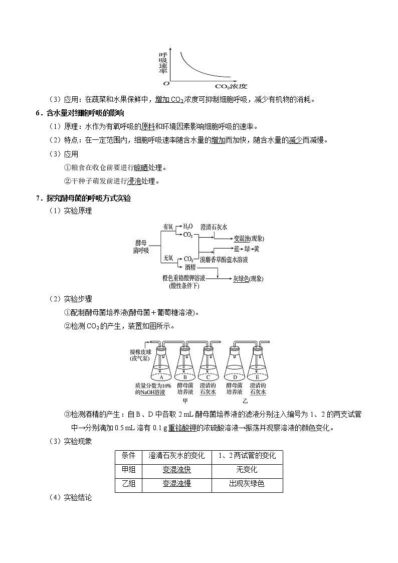 考点16  细胞呼吸-备战2022年高考生物一轮复习考点一遍过学案03