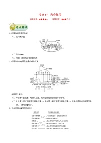 考点17  光合作用-备战2022年高考生物一轮复习考点一遍过学案