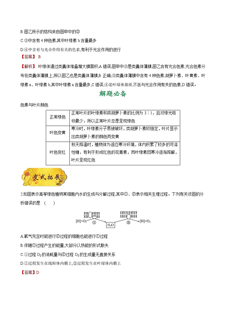 考点17  光合作用-备战2022年高考生物一轮复习考点一遍过学案第3页