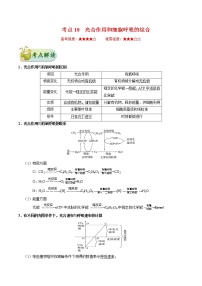 考点18  光合作用和细胞呼吸的综合-备战2022年高考生物一轮复习考点一遍过学案