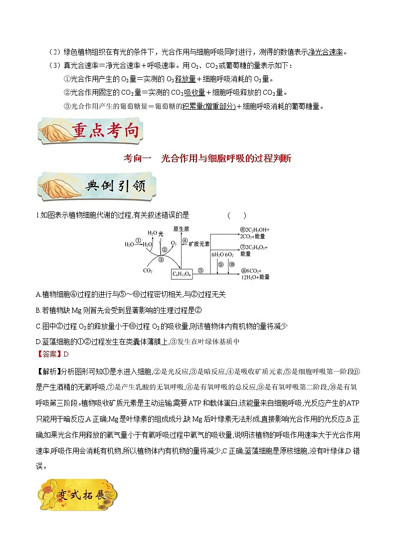 考点18  光合作用和细胞呼吸的综合-备战2022年高考生物一轮复习考点一遍过学案第2页