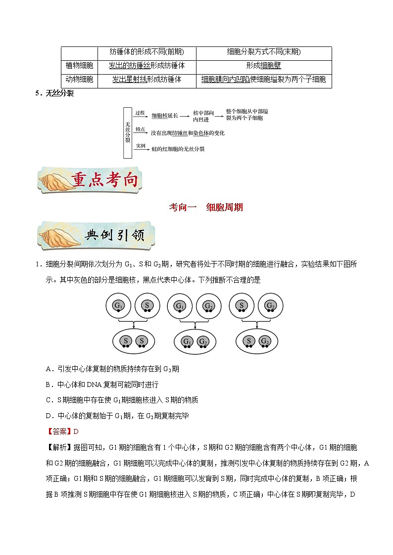 考点19  细胞的增殖-备战2022年高考生物一轮复习考点一遍过学案第2页