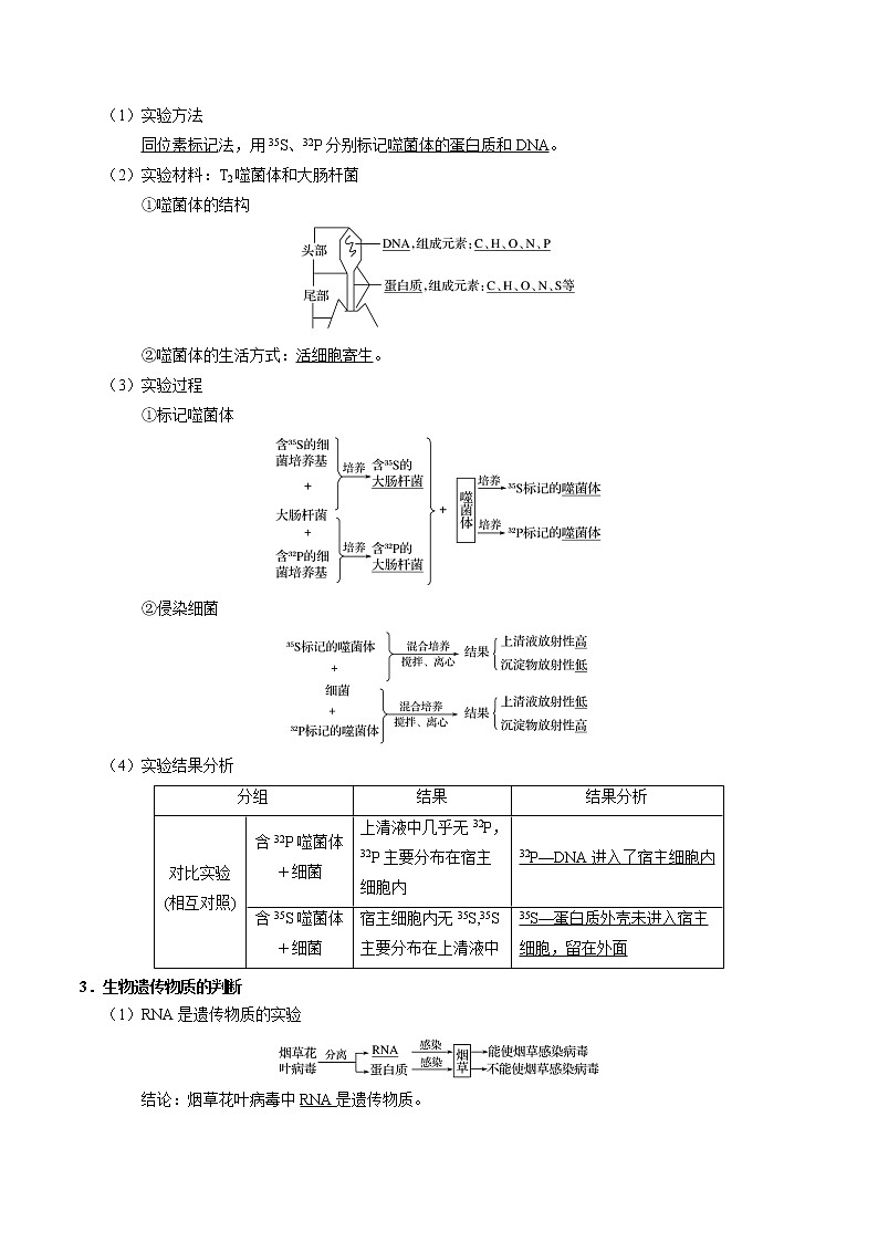 考点24  人类对遗传物质的探索过程-备战2022年高考生物一轮复习考点一遍过学案02