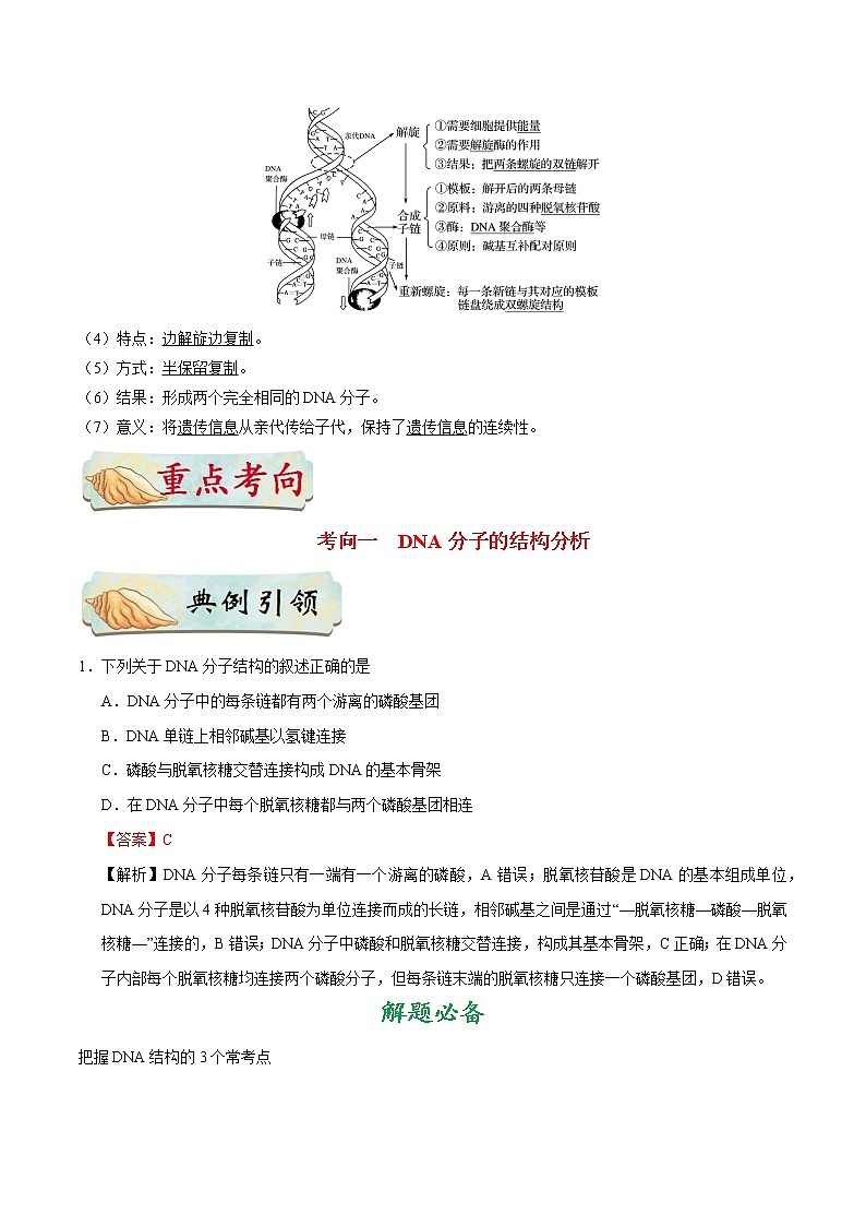 考点25  DNA分子的结构和复制-备战2022年高考生物一轮复习考点一遍过学案第2页