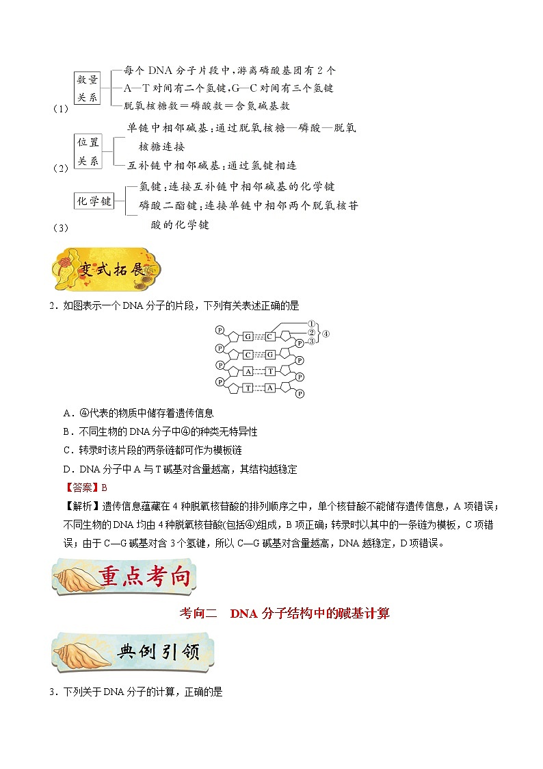 考点25  DNA分子的结构和复制-备战2022年高考生物一轮复习考点一遍过学案第3页