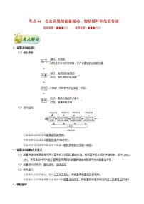 考点44  生态系统的能量流动、物质循环和信息传递-备战2022年高考生物一轮复习考点一遍过学案