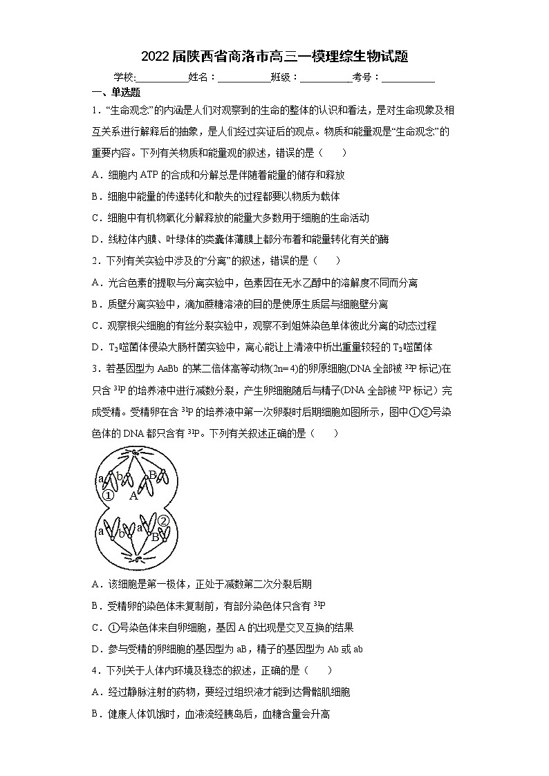 2022届陕西省商洛市高三一模生物试卷及答案第1页