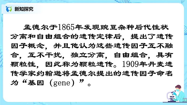 1.1《孟德尔的豌豆杂交实验（一）》课件PPT+教案06