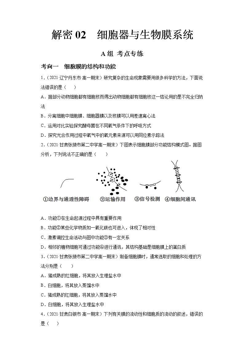 解密02 细胞器与生物膜系统（分层训练）-【高频考点解密】 高考生物二轮复习讲义+分层训练01