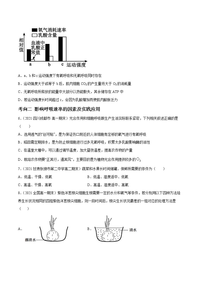 解密05 ATP的主要来源（分层训练）-【高频考点解密】 高考生物二轮复习讲义+分层训练02
