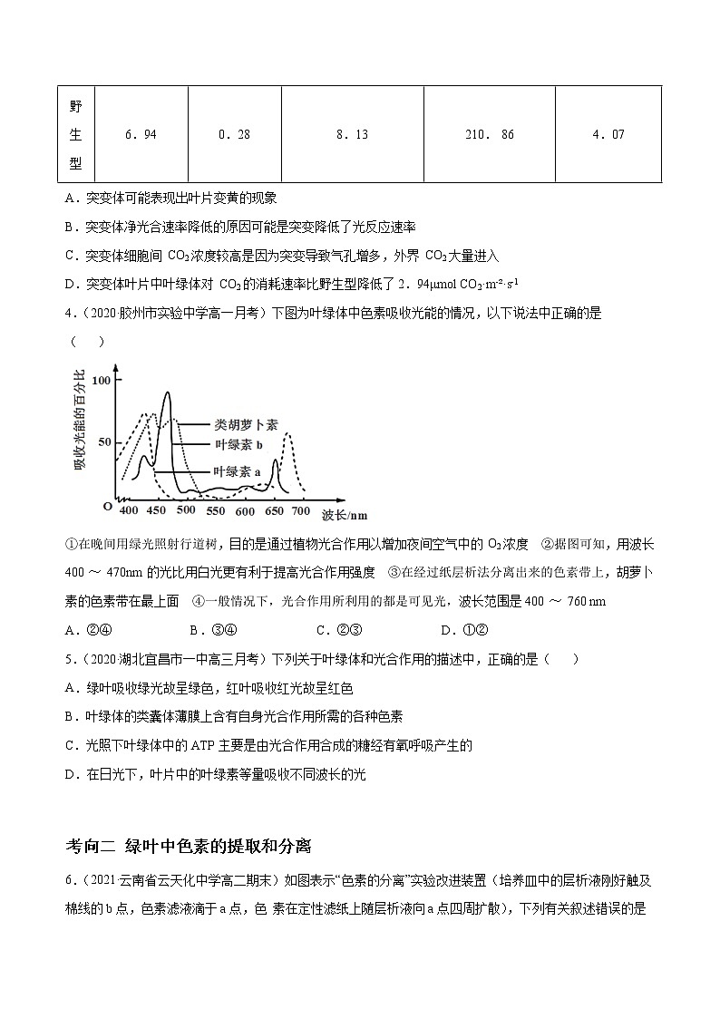 解密06 能量之源——光与光合作用（分层训练）（原卷版）第2页
