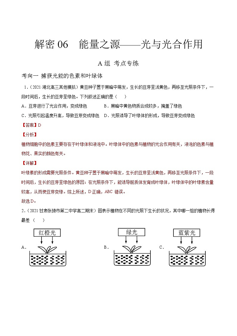 解密06 能量之源——光与光合作用（分层训练）（解析版）第1页