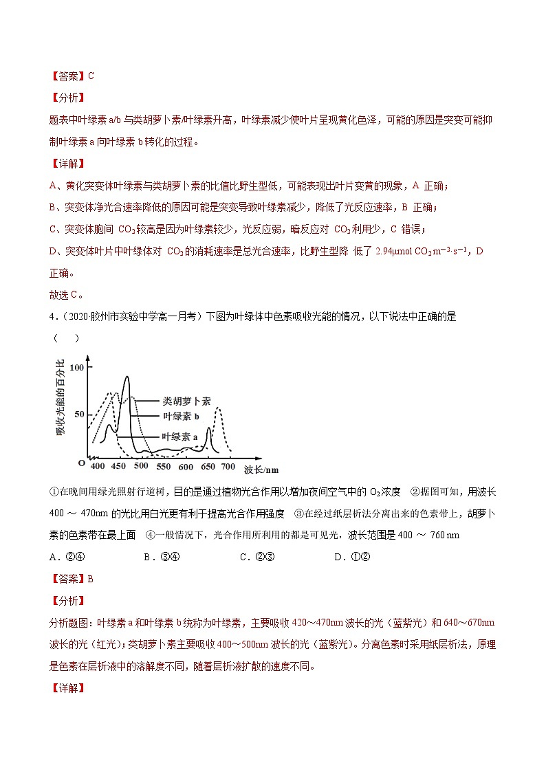 解密06 能量之源——光与光合作用（分层训练）（解析版）第3页