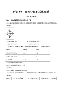 解密08 有丝分裂和减数分裂（分层训练）-【高频考点解密】 高考生物二轮复习讲义+分层训练