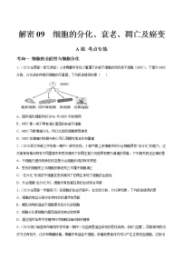 解密09 细胞的分化、衰老、凋亡及癌变（分层训练）-【高频考点解密】 高考生物二轮复习讲义+分层训练