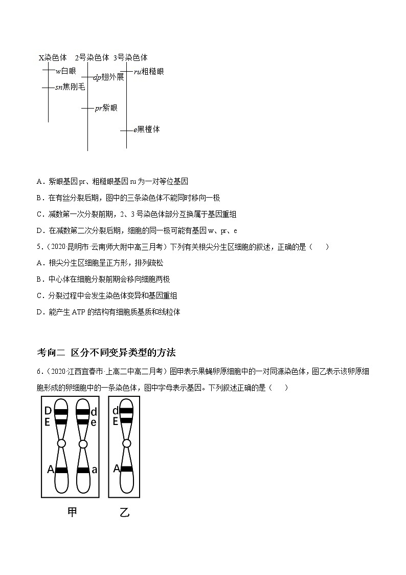 解密13 生物的变异与育种（分层训练）-【高频考点解密】 高考生物二轮复习讲义+分层训练02