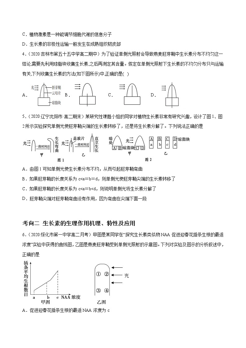 解密19 植物的激素调节（分层训练）-【高频考点解密】 高考生物二轮复习讲义+分层训练02