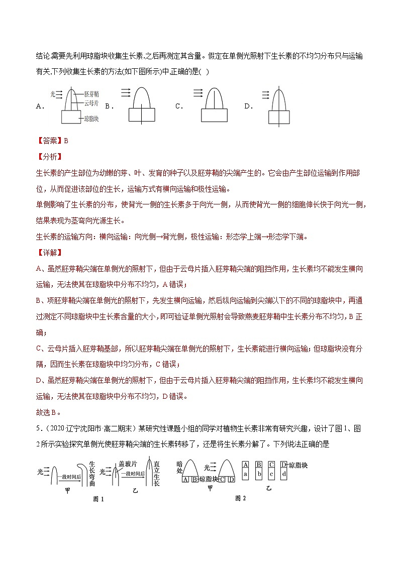 解密19 植物的激素调节（分层训练）-【高频考点解密】 高考生物二轮复习讲义+分层训练03