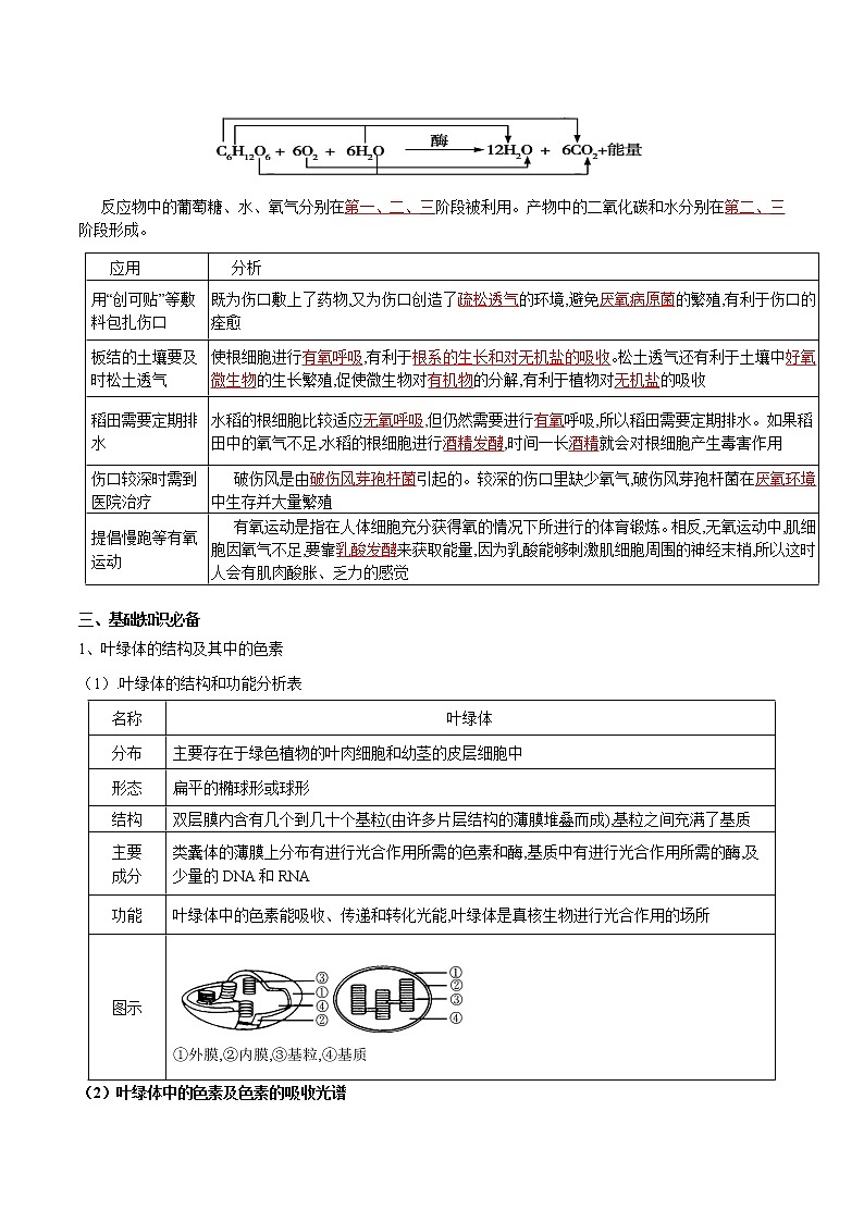 专题05 细胞呼吸和光合作用-备战2022年高考生物专题提分攻略（解析版）第2页