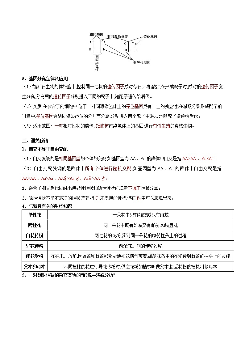 专题08 遗传的基本规律-备战2022年高考生物专题提分攻略（解析版）第2页