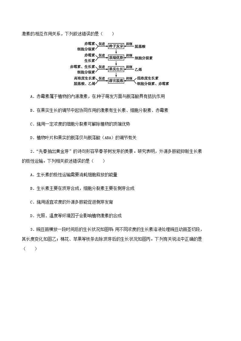 专题15 植物的激素调节-备战2022年高考生物专题提分攻略（原卷版）第3页
