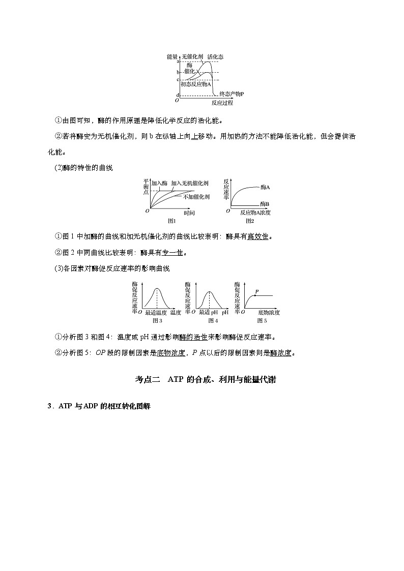 预测02 酶和ATP-【临门一脚】2022年高考生物三轮冲刺过关（解析版）第2页
