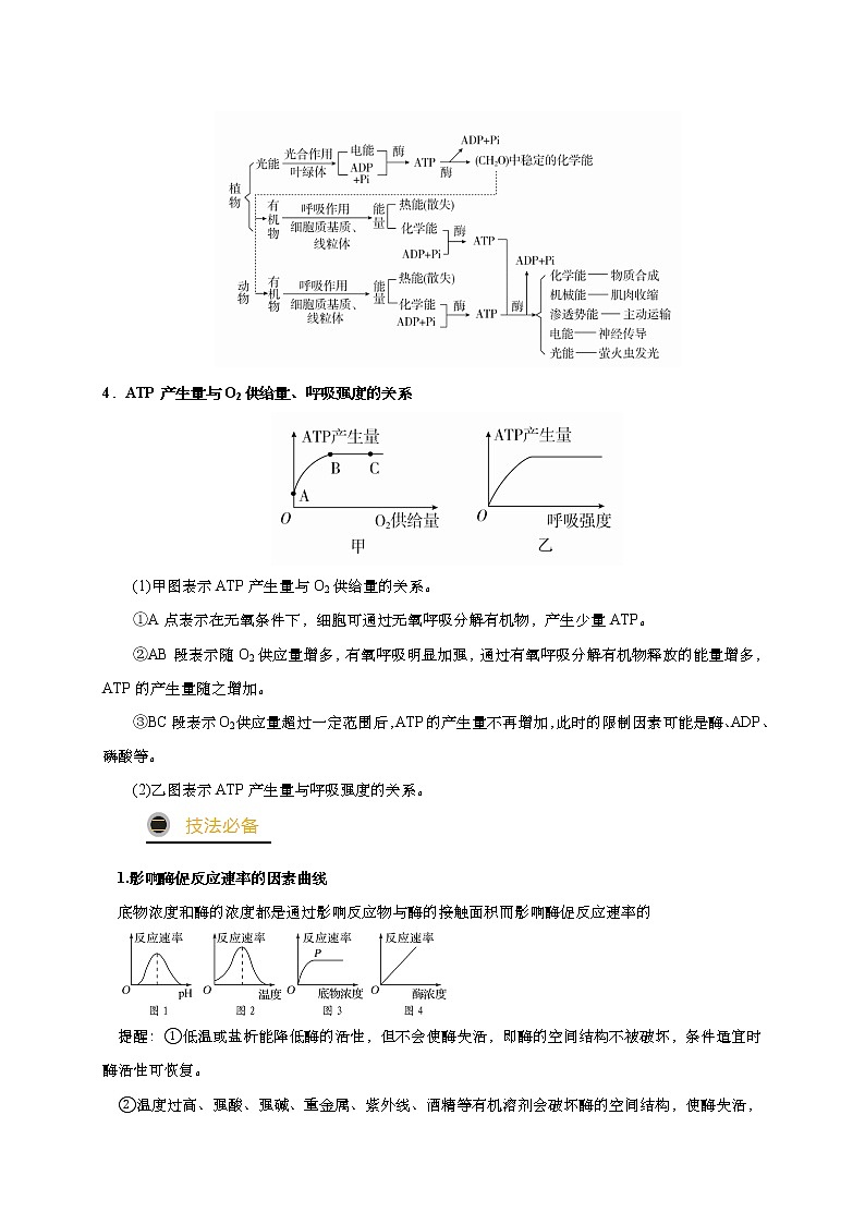 预测02 酶和ATP-【临门一脚】2022年高考生物三轮冲刺过关（解析版）第3页