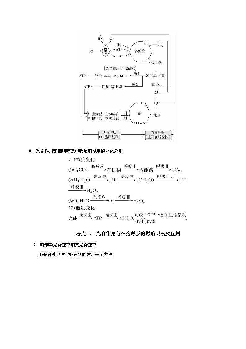 预测03 细胞呼吸和光合作用-【临门一脚】2022年高考生物三轮冲刺过关（解析版）第2页