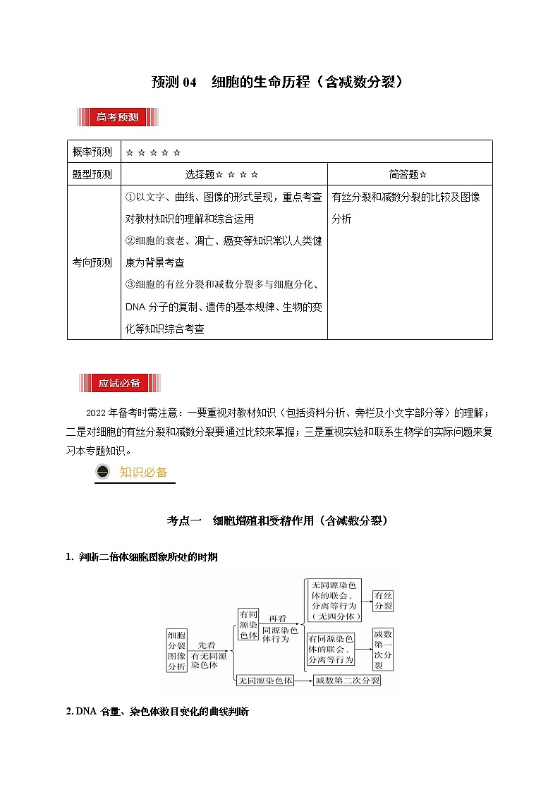 预测04 细胞的生命历程（含减数分裂）-【临门一脚】2022年高考生物三轮冲刺过关（原卷版）第1页
