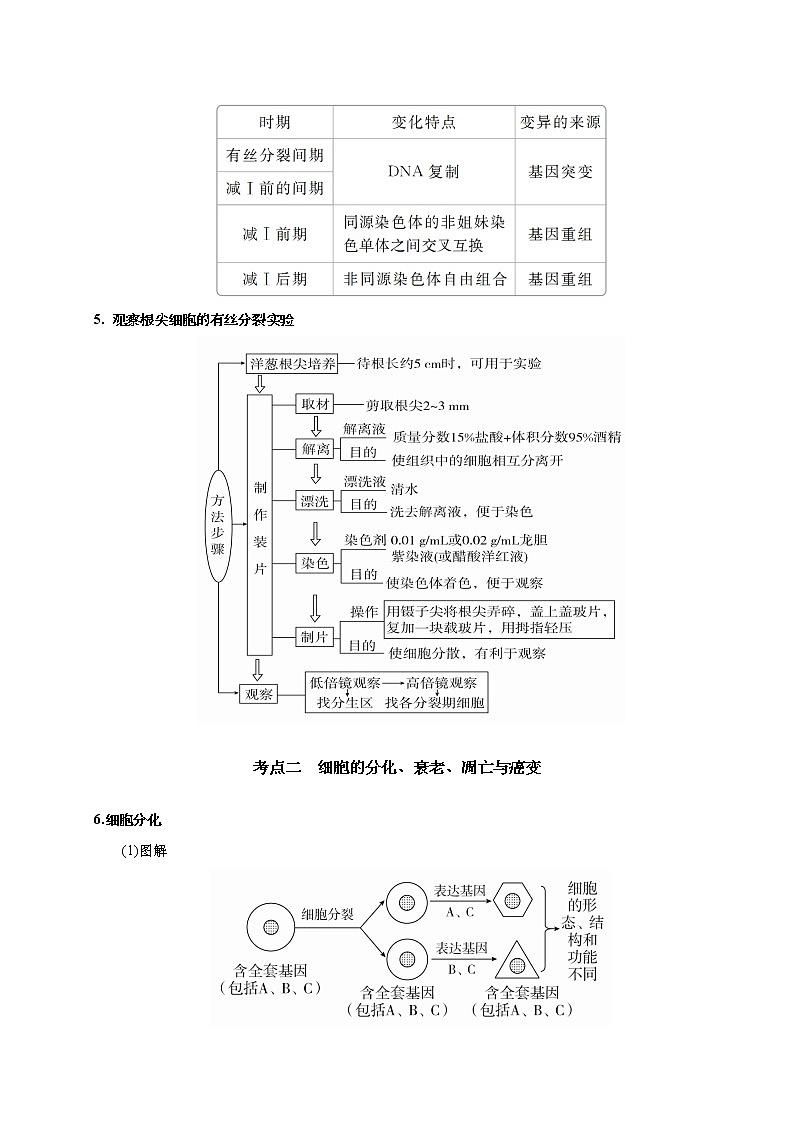 预测04 细胞的生命历程（含减数分裂）-【临门一脚】2022年高考生物三轮冲刺过关（解析版）第3页