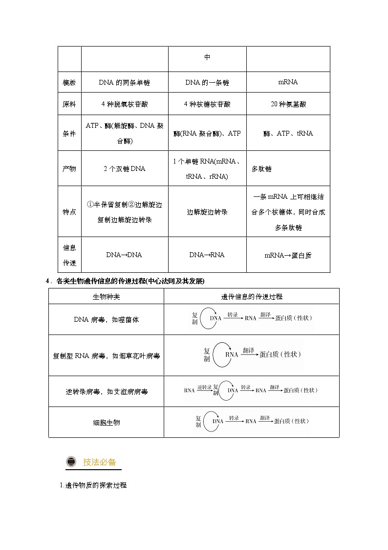预测05 遗传的分子基础-【临门一脚】2022年高考生物三轮冲刺过关（原卷版）第3页