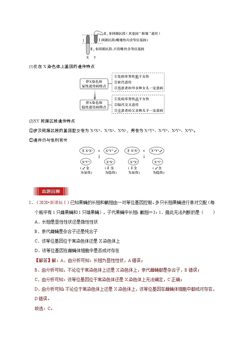 预测07 伴性遗传和人类遗传病-【临门一脚】2022年高考生物三轮冲刺过关（解析版）第3页