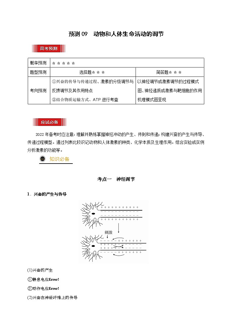 预测09 动物和人体生命活动的调节-【临门一脚】2022年高考生物三轮冲刺过关（原卷版）第1页