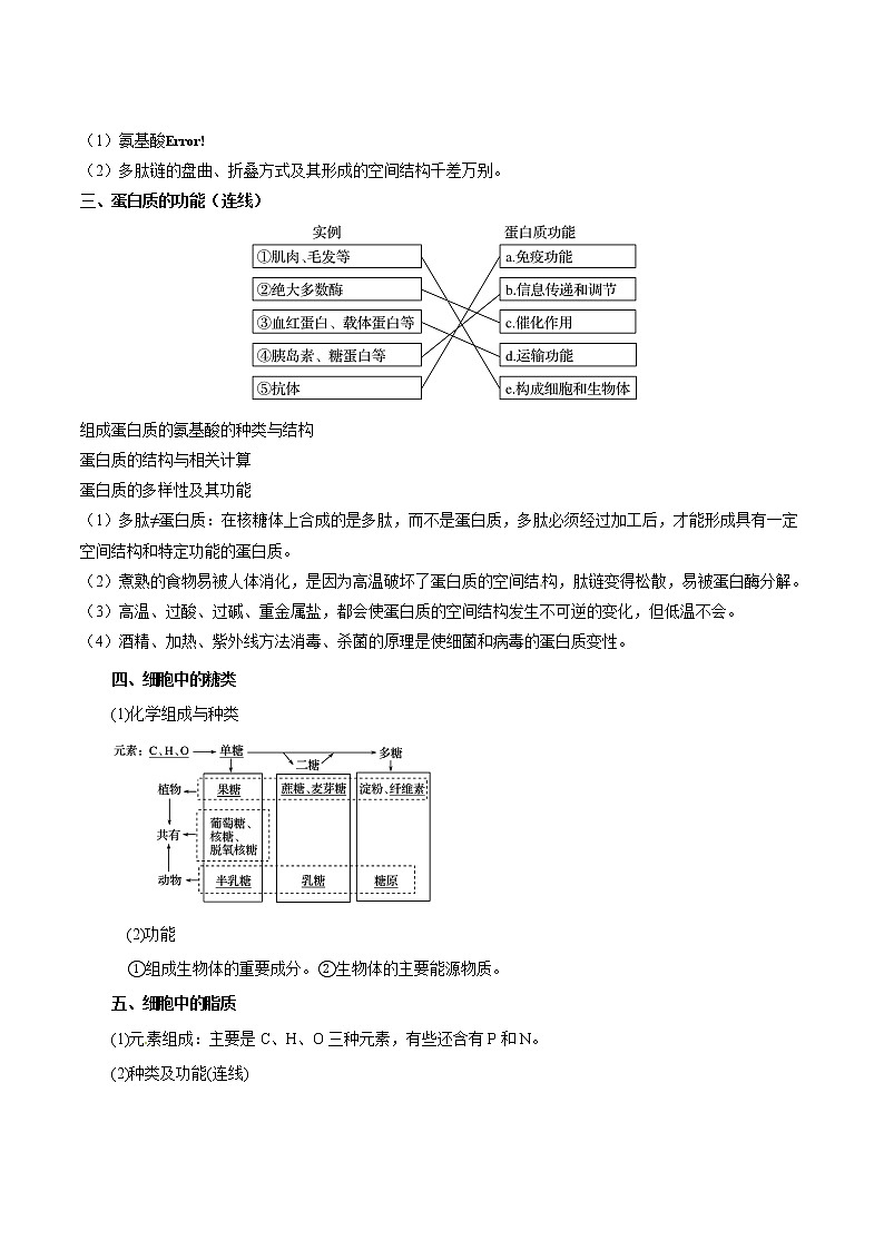 知识清单02  蛋白质 核酸 糖类 脂质-2022年高考生物一轮复习必背知识清单第2页