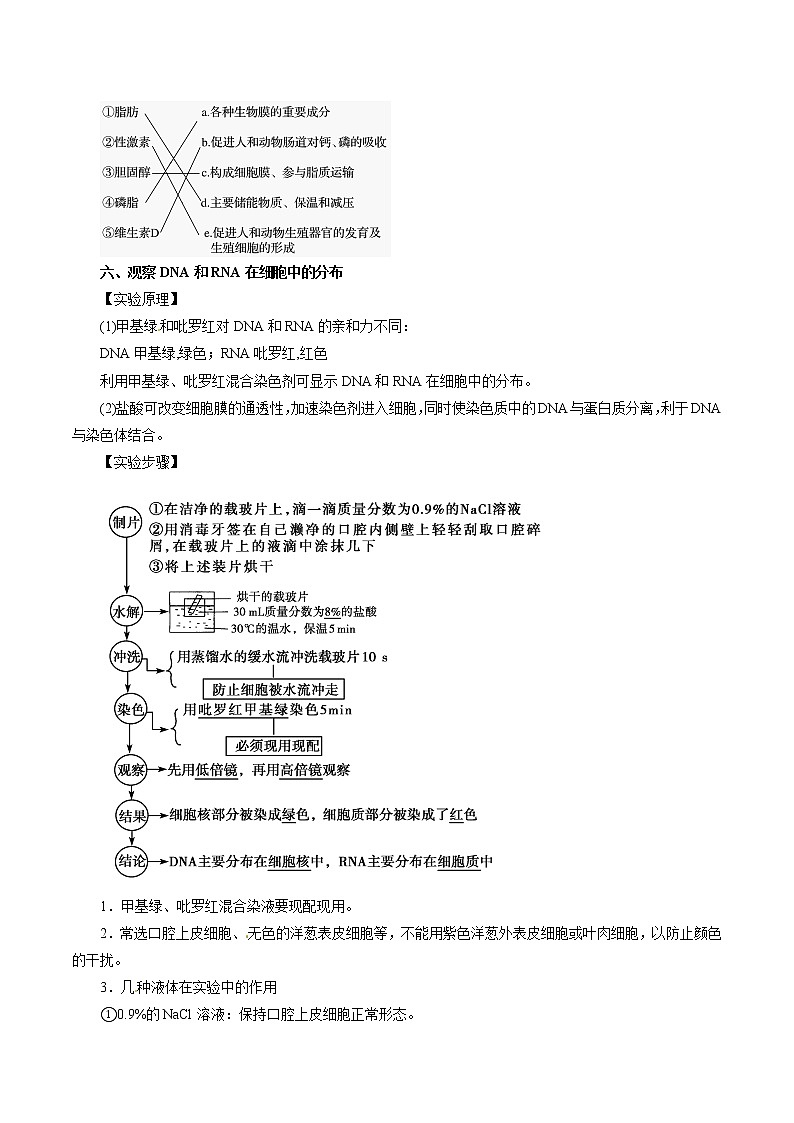 知识清单02  蛋白质 核酸 糖类 脂质-2022年高考生物一轮复习必背知识清单第3页