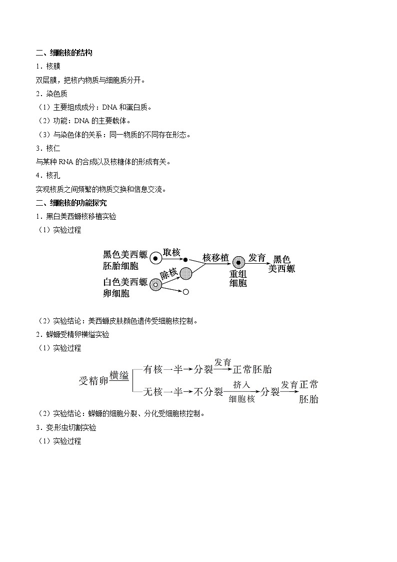 知识清单04  细胞核 细胞膜-2022年高考生物一轮复习必背知识清单第2页