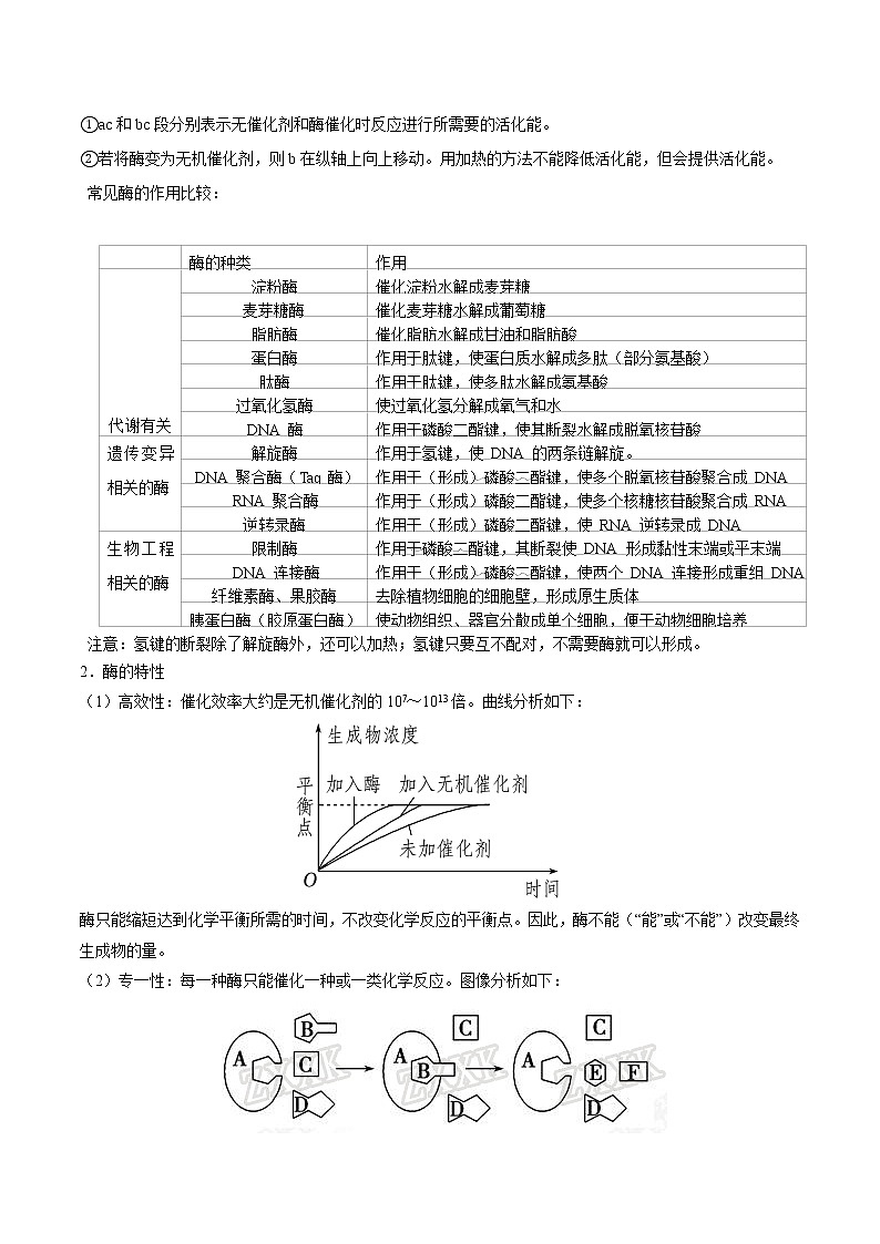 知识清单06  降低化学反应活化能的酶  ATP-2022年高考生物一轮复习必背知识清单第2页