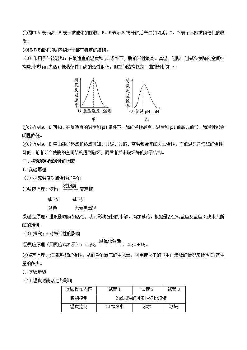 知识清单06  降低化学反应活化能的酶  ATP-2022年高考生物一轮复习必背知识清单第3页